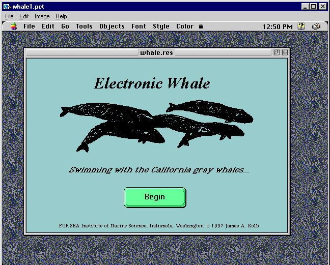 whale1.gif